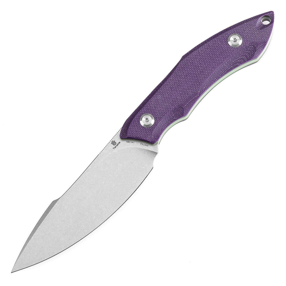 Tenable Luccio Fixed Blade Knife with Purple G10 Handle (3.81" Stonewashed 14C28N Blade) - Bolt Vision Design - G007A5