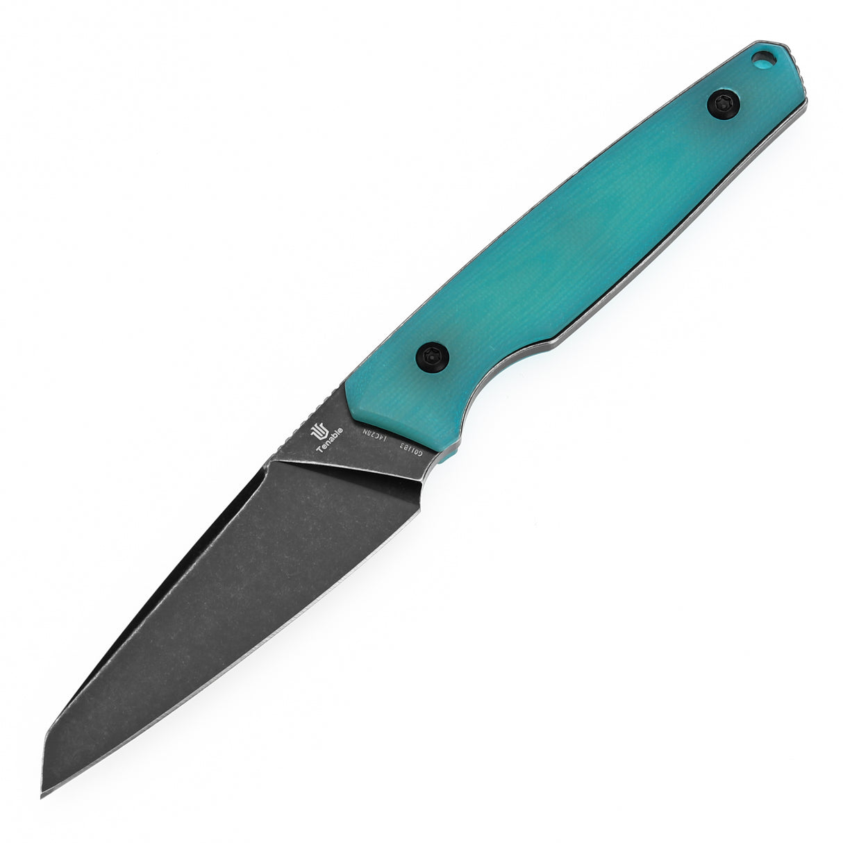 Tenable Parr Outdoor Fixed Blade Knife - Tiffany Blue G10 Handle - 3.12" Blackwash 14C28N Blade - Jonathan Styles Design - G011B3
