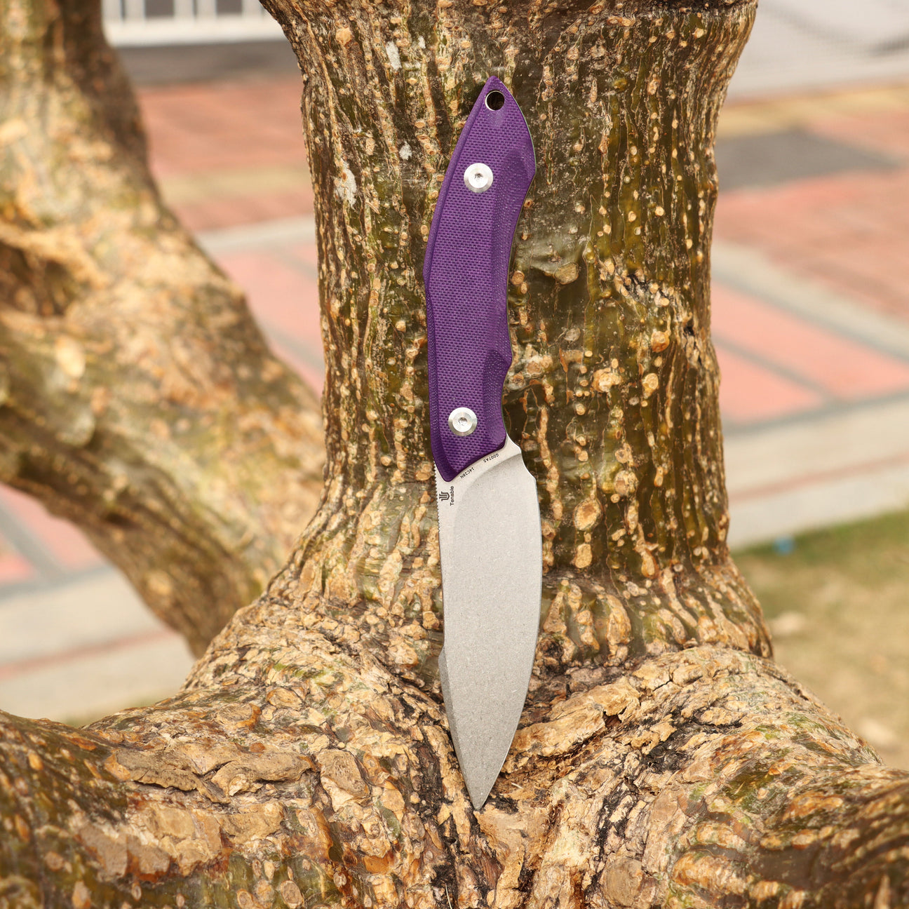 Luccio – Tenable Knives