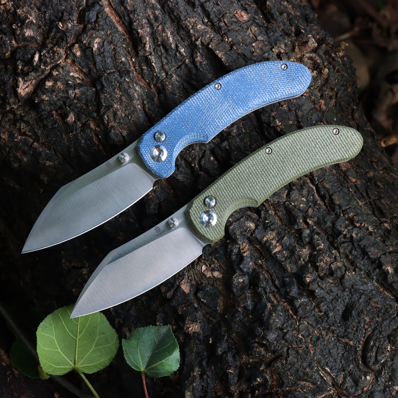 Nesstreet – Tenable Knives