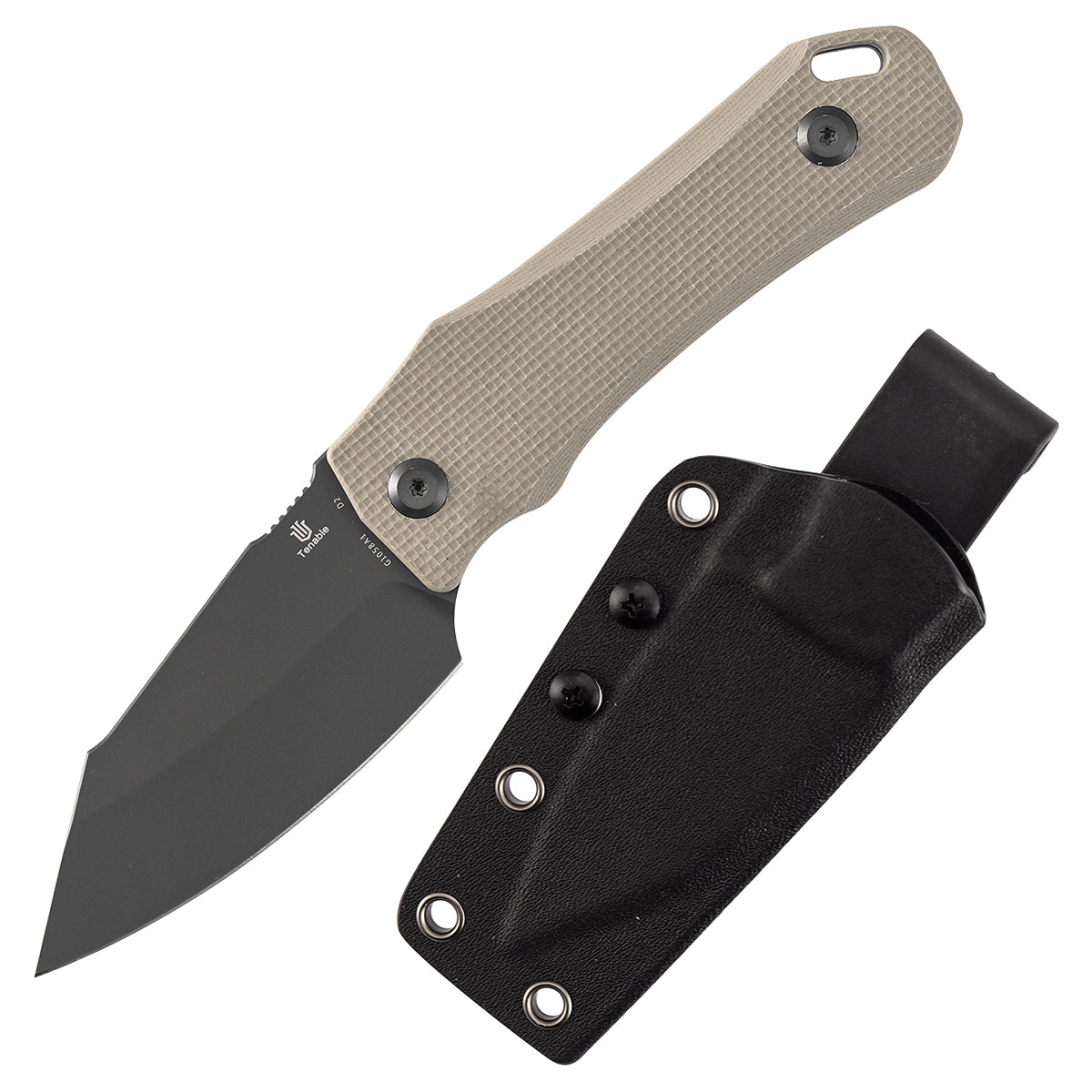 Tenable Loki Fixed Blade Knife |2.99" Gray TiCn Coated D2 Blade | Light Sand G10 Handle | Steven Dunnuck Design | G1058A1