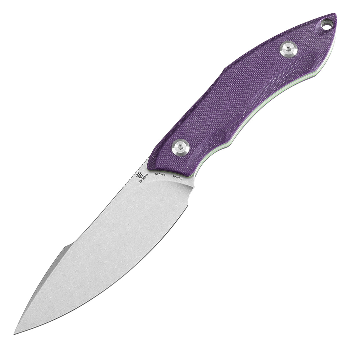 Tenable Luccio Fixed Blade Knife with Purple G10 Handle (3.81